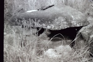 1970年発掘前の迫山１号古墳