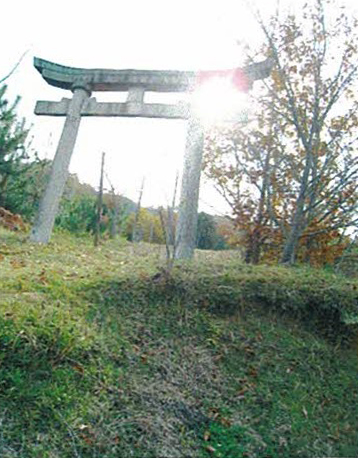木野山神社の鳥居