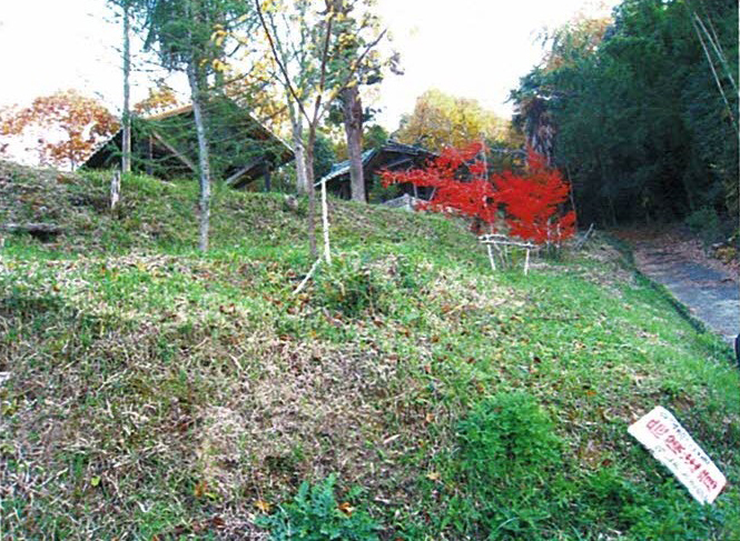木野山神社は登山道の丘の上にある