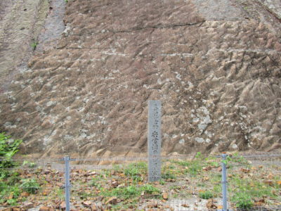 海陽町宍喰には連痕の化石