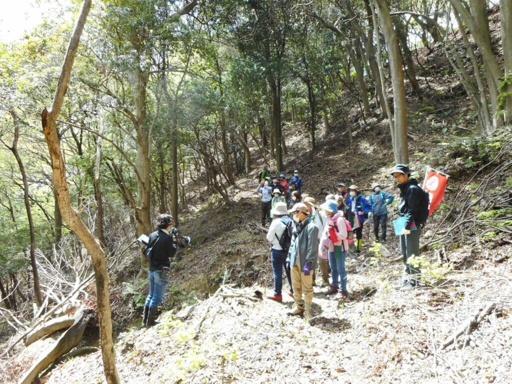 大手道から竪堀群の説明を聞く参加者。この山城はよく手入れされているので遺構が良くわかります。気持ちの