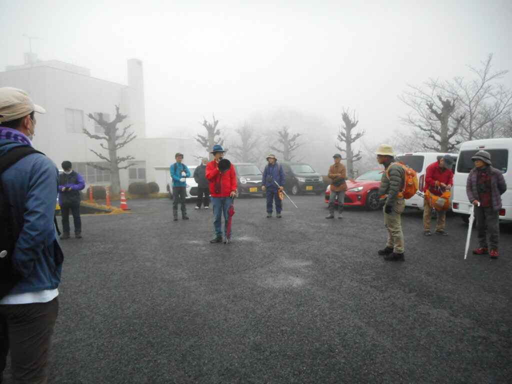 芋原は深い霧に覆われ幻想的な雰囲気。