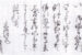 宮智盛書状